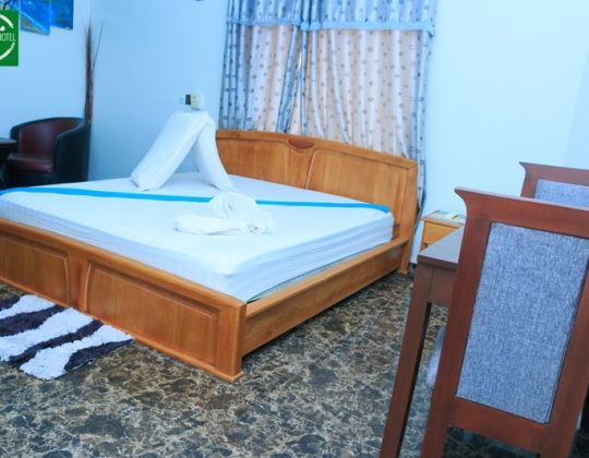 Offre Spéciale pour un Séjour en Famille à l&rsquo;Hôtel Amazone pendant les Fêtes de Fin d&rsquo;Année